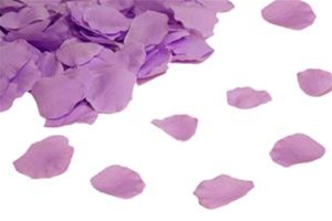 Rosenblätter 500 St. Lavendel-Bild