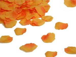 Rosenblätter 500 St. Apricot/Orange-Bild